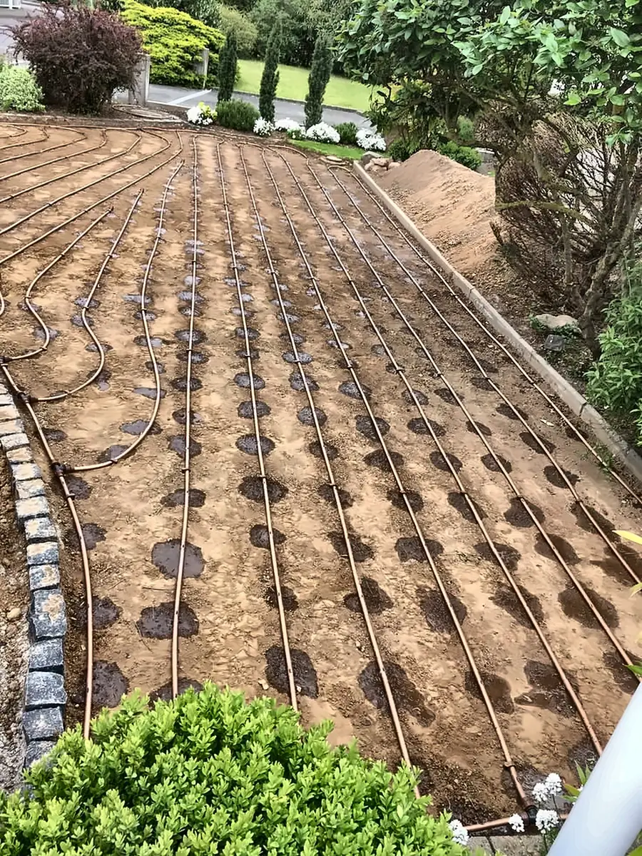 Drip irrigation lines laid in rows across a prepared planting bed